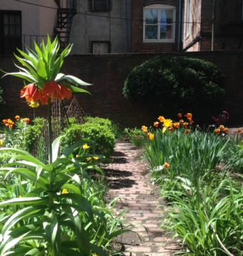 The 18th Century Garden at Old North Church.