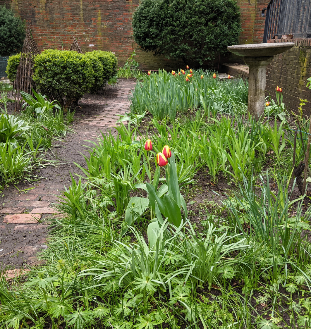 The 18th Century Garden at Old North Church.